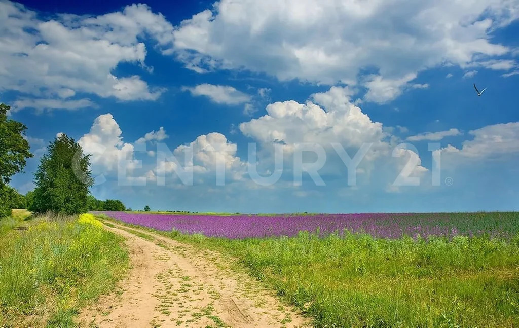 продажа земельного участка, рябово, тосненский район, рябово г.п. - Фото 1