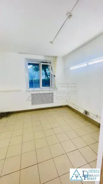 Помещение 184 м2 на Кутузовском проспекте, 10 мин. до метро Кунцевская - Фото 11