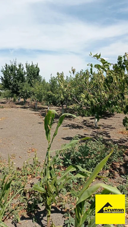 Продажа дома, Екатериновка, Щербиновский район - Фото 4