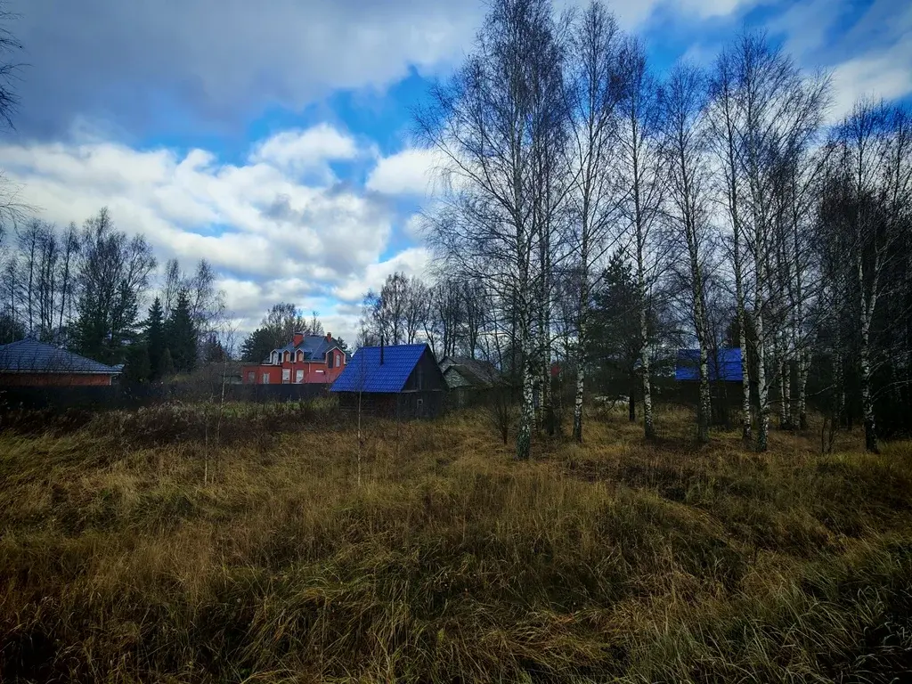 Продается участок 23 сот. ИЖС в д. Шорново - Фото 10