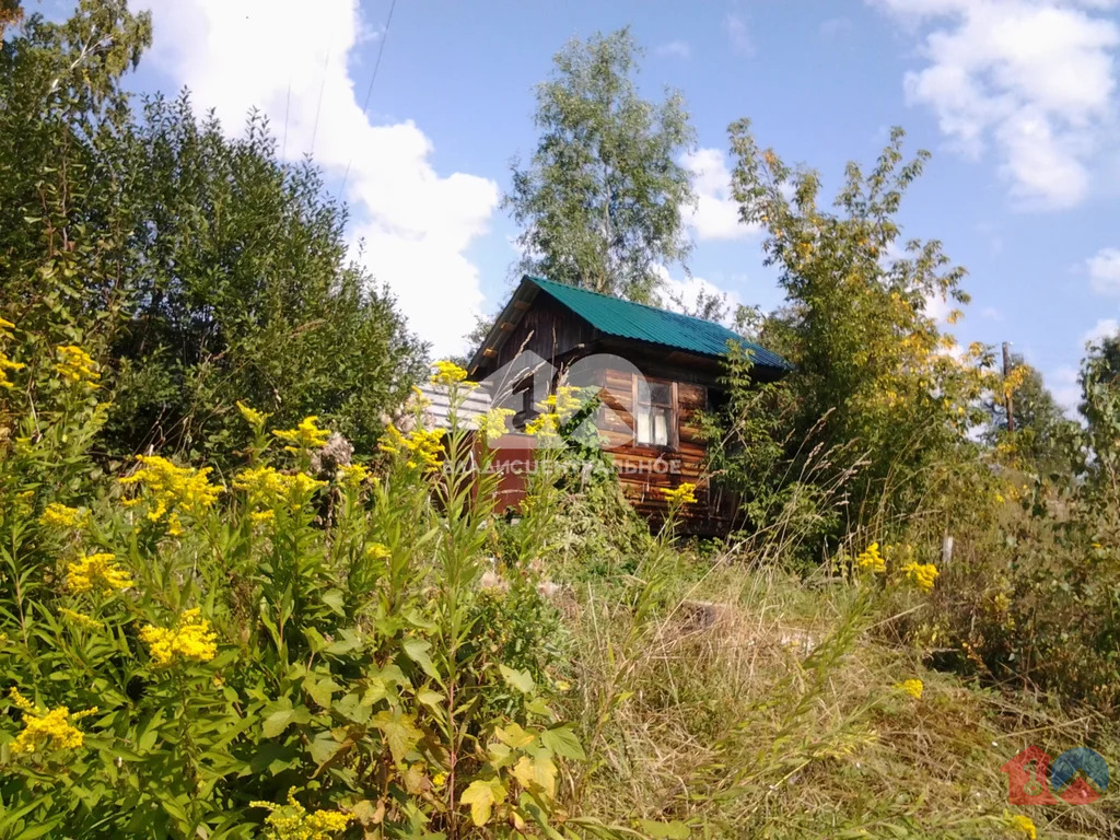 Новосибирский район, садоводческое некоммерческое товарищество ... - Фото 0