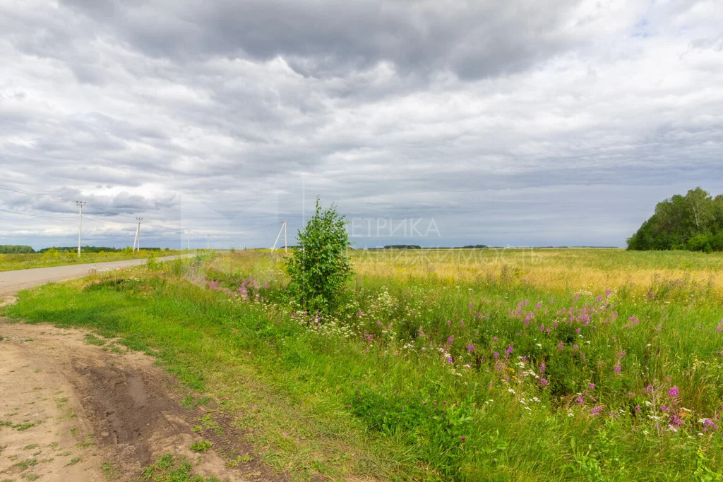 Продажа земельного участка, Тюменский район, Тюменский р-н - Фото 5