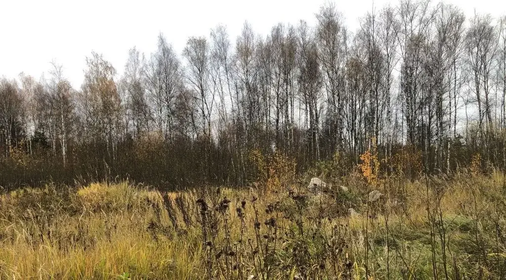 7,8 соток в гор. Солнечногорск, СНТ Исток-с - Фото 1