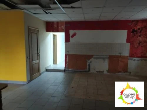 Помещение свободного назначения на цокольном многоквартирного жилого д - Фото 41