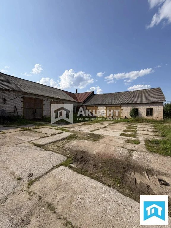 Продажа готового бизнеса, Комсомольск, Комсомольский район, ул. ... - Фото 19