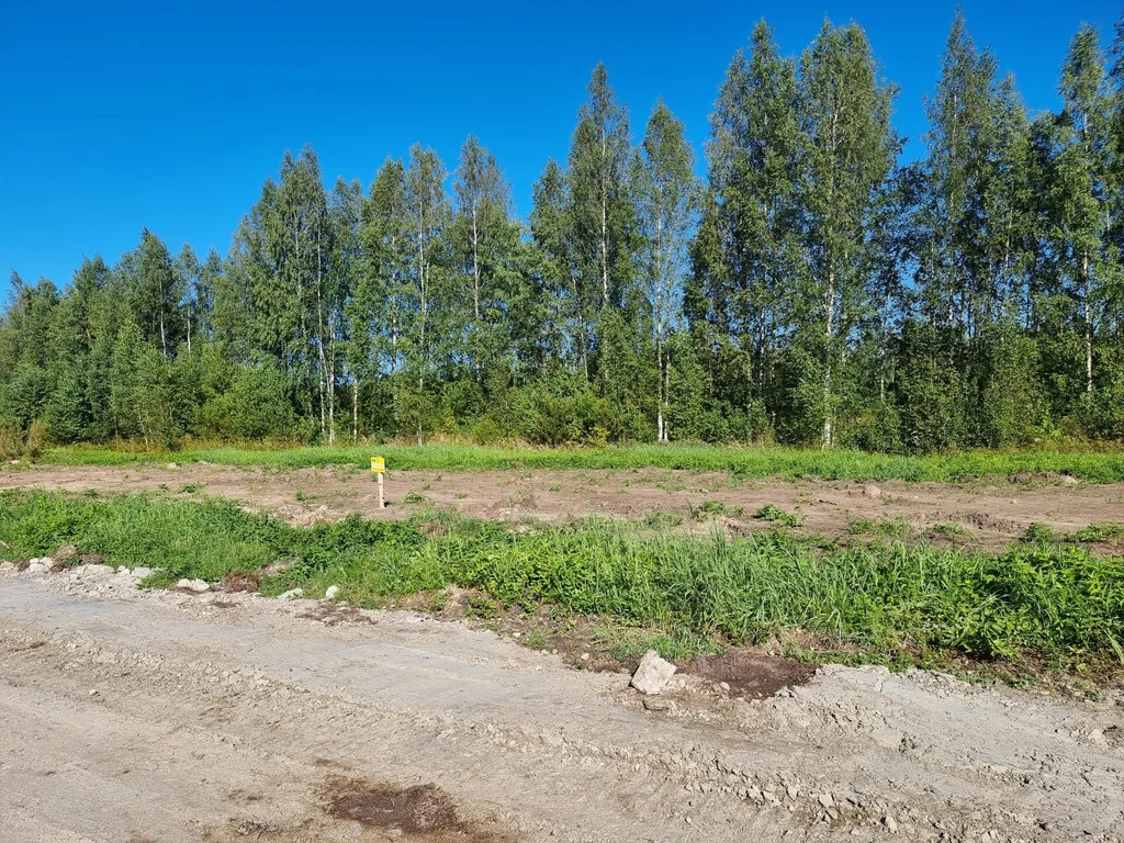 Продажа участка, Большие Пороги, Всеволожский район - Фото 4