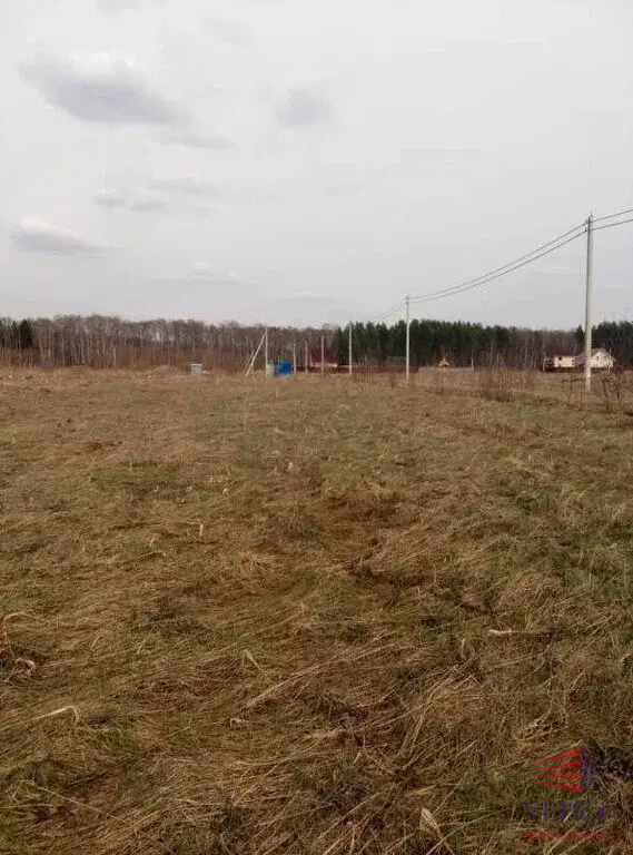 Продаётся участок 10 сот. Раменский район, д. Панино, КП "Панино" - Фото 3