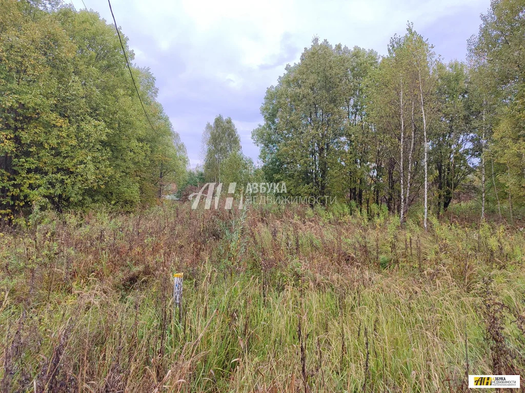 Продажа участка, Горетово, Можайский район, Бестужевская улица - Фото 8