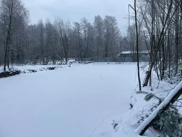 Продажа участка, Зеленогорск, ул. Вокзальная - Фото 10