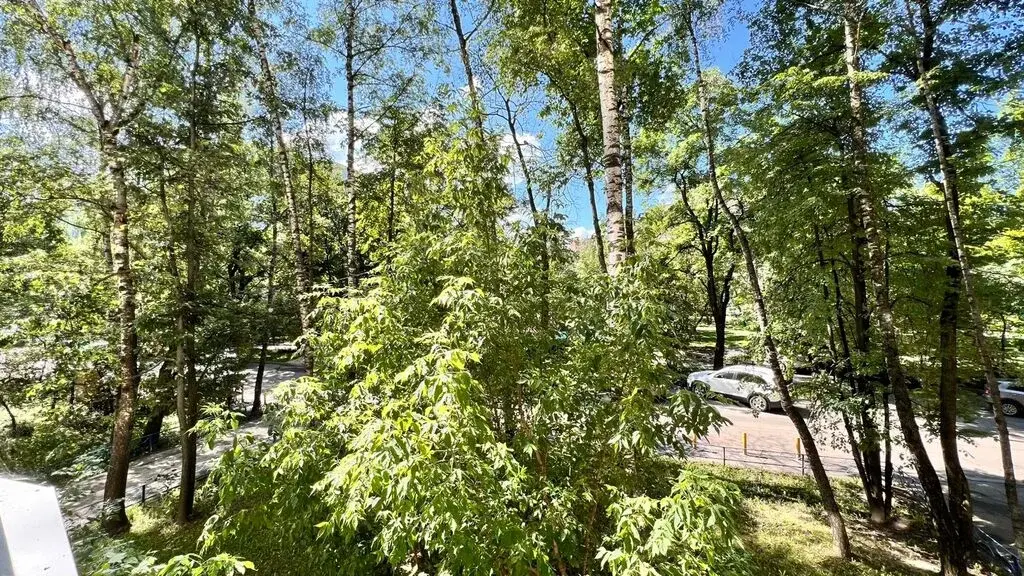 3-ка в г. Мытищи - Фото 1
