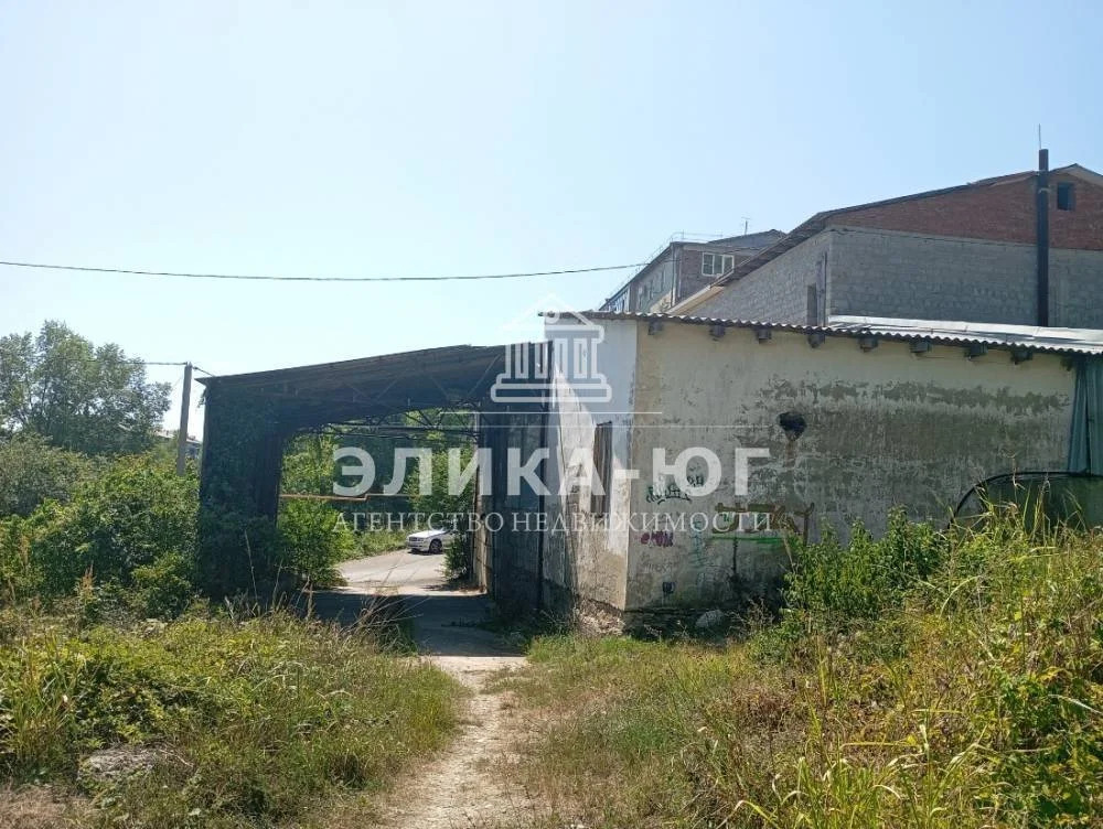 Продажа готового бизнеса, Джубга, Туапсинский район, Новороссийское ш. - Фото 8