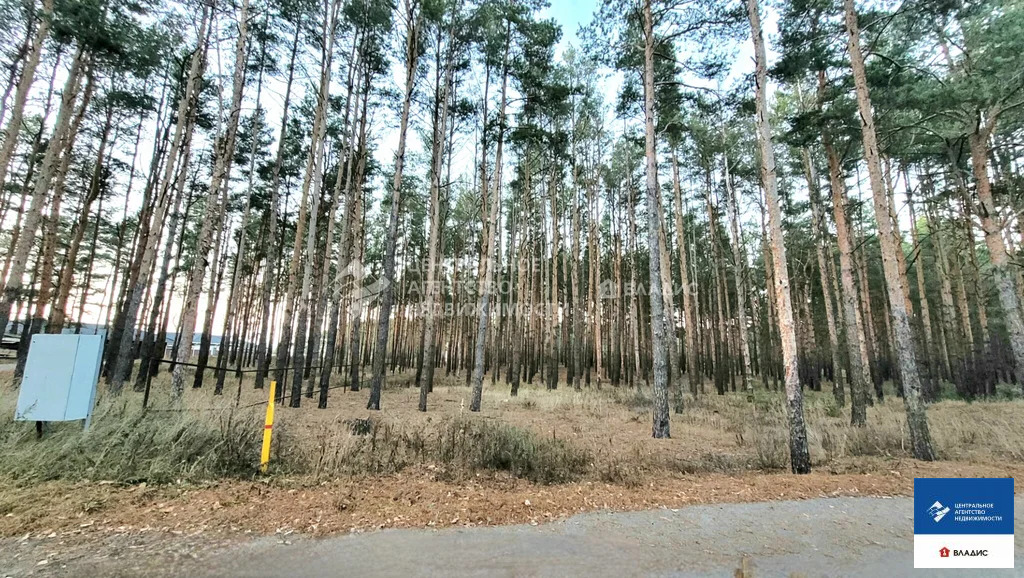 Продажа участка, Рязанский район - Фото 18