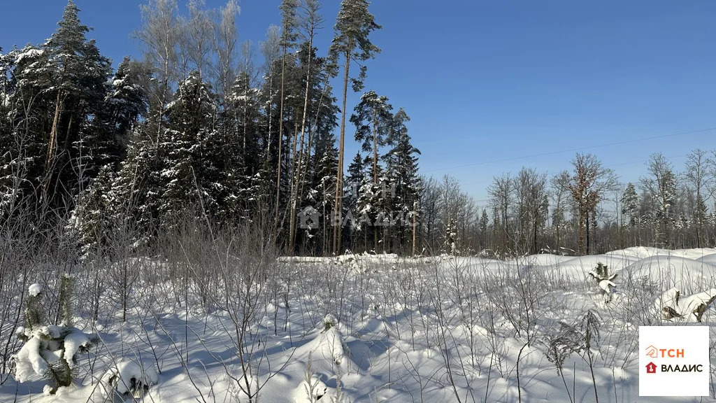 Продажа участка, Митянино, Щелковский район, Любимая улица - Фото 3