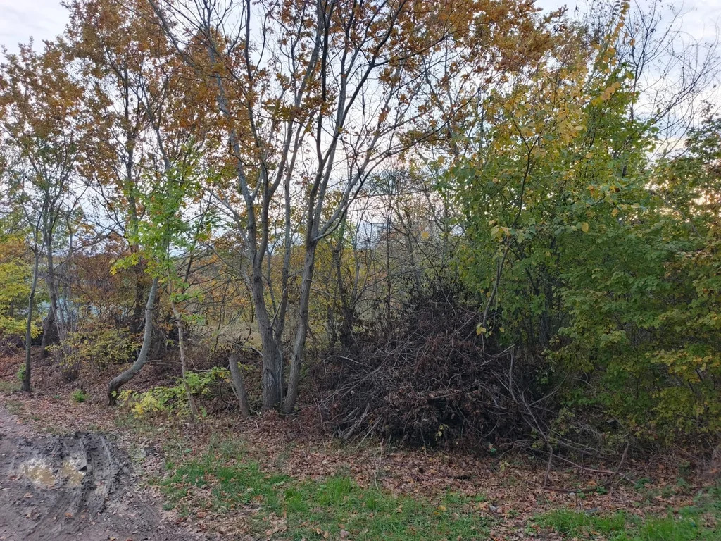 Продажа участка, Северский район - Фото 6