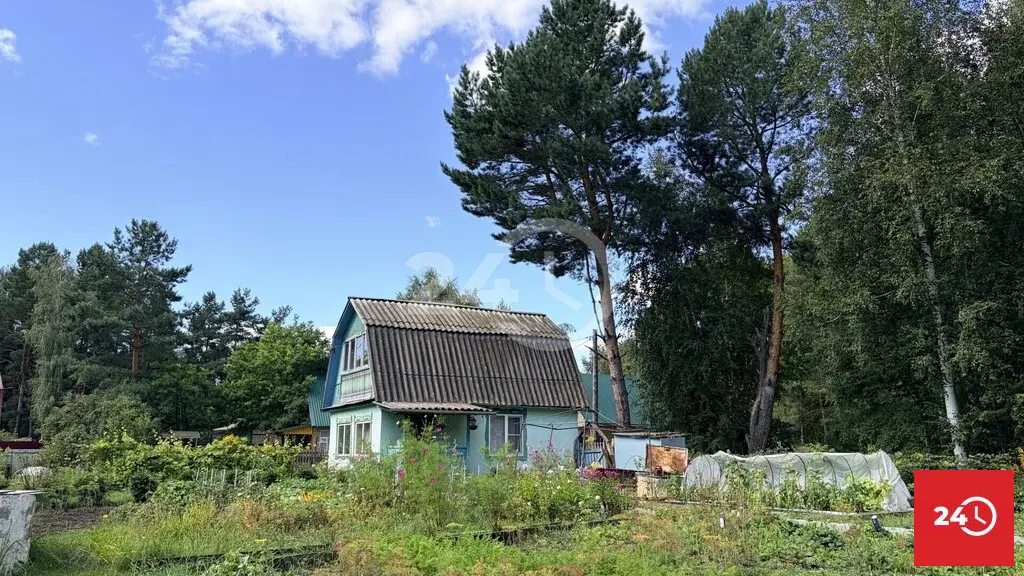 В продаже дача в лесу СНТ Сосенки - Фото 16