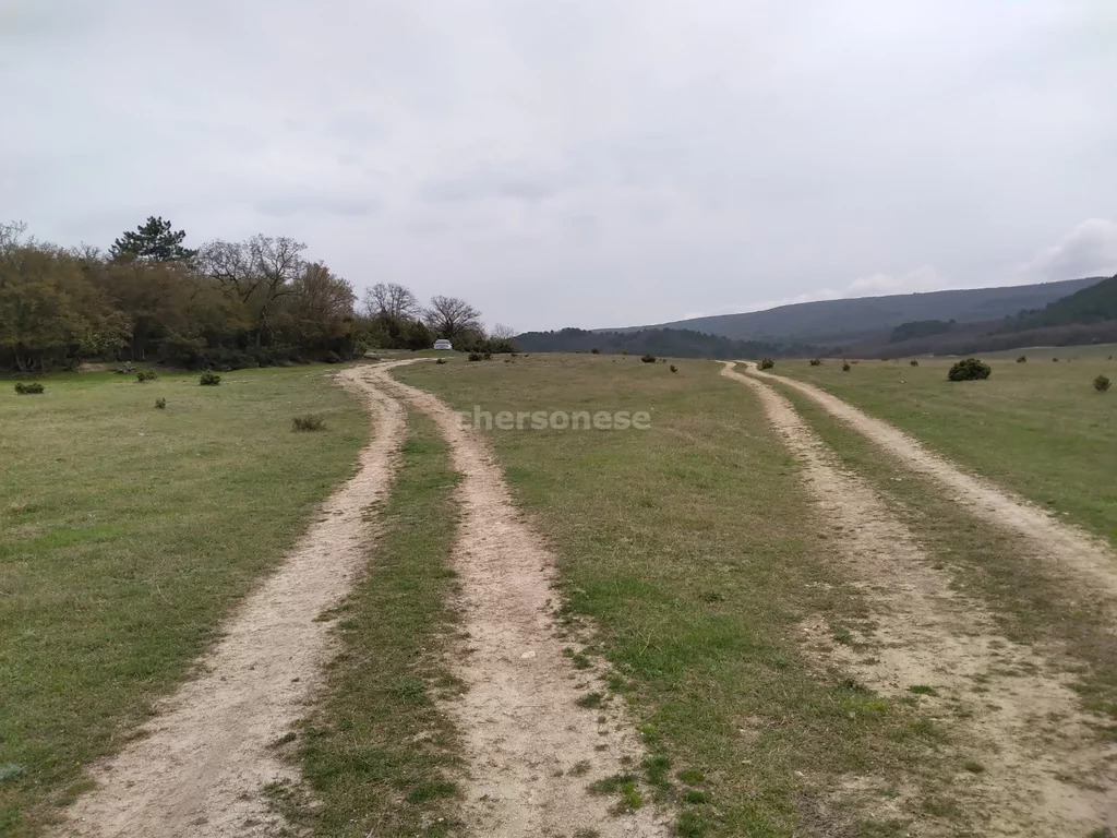 Маки в бахчисарайском районе. Красный Мак Бахчисарайский район. Село красный Мак Бахчисарайский. Село красный Мак Бахчисарайский район фото. Красный Мак Бахчисарайский район фото.