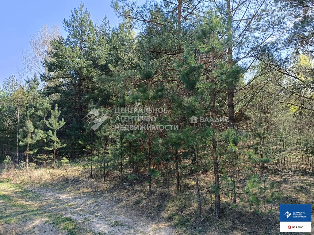 Продажа участка, Спасский район - Фото 4