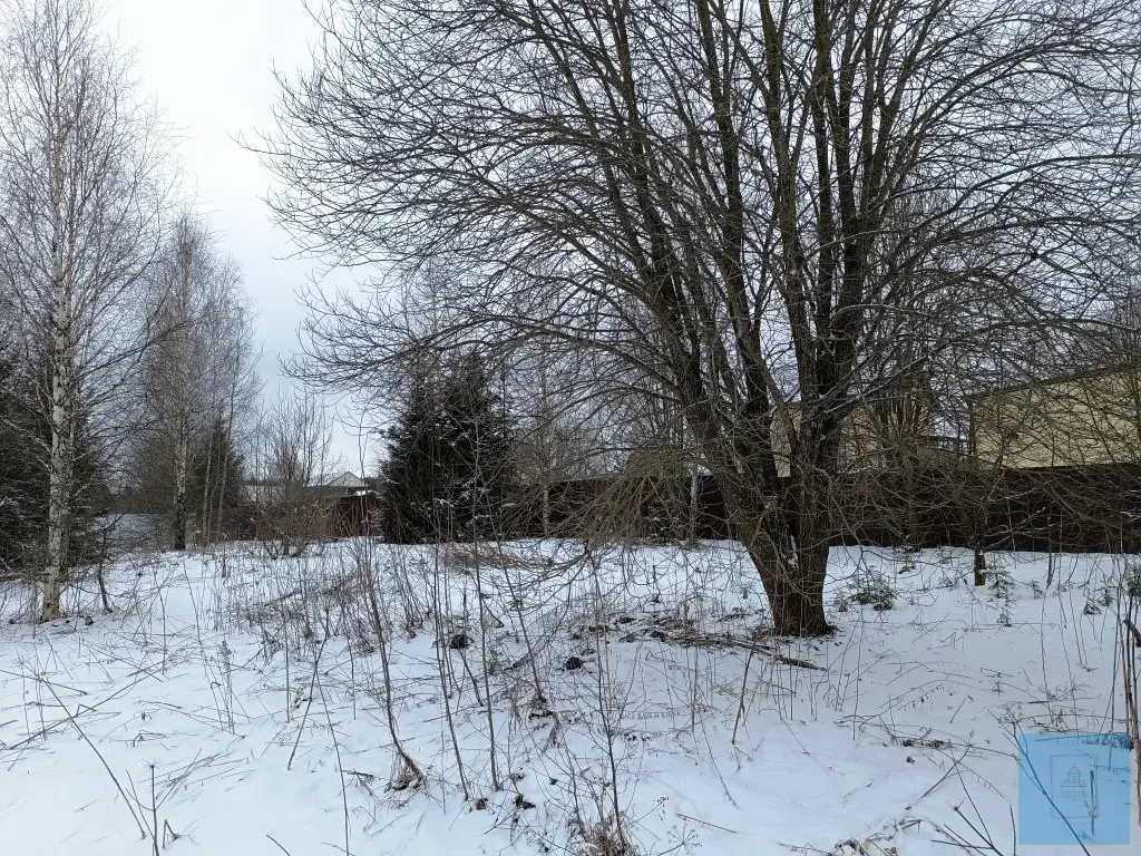 15 соток ИЖС в д. Смирновка, ул. Дачная - Фото 0