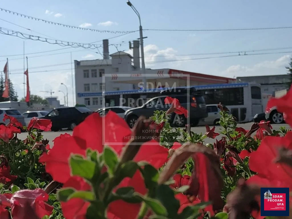 Аренда торгового помещения, Уфа, Октября пр-кт. - Фото 10
