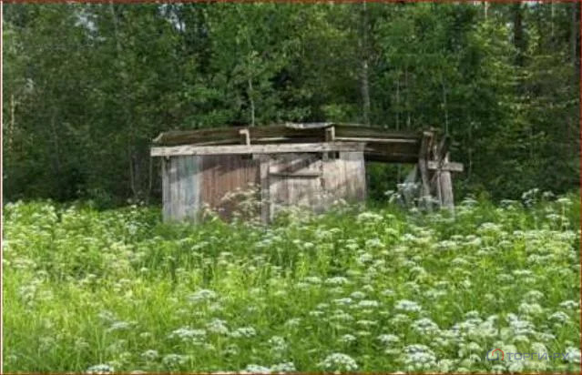 Продажа участка, Сланцы, Сланцевский район - Фото 3