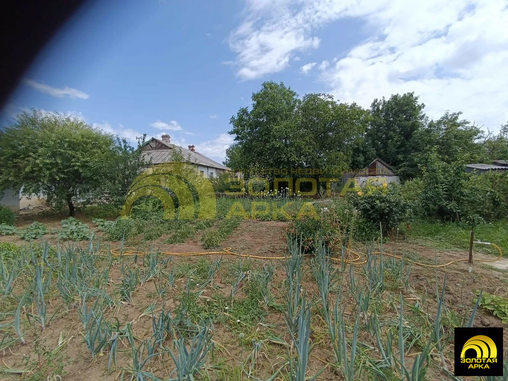 Продажа дома, Виноградный, Темрюкский район, ул. Красноармейская - Фото 16