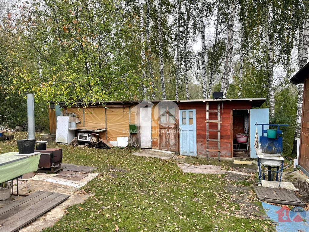 Новосибирский район, СНТ Серебряные ключи-2,  земля на продажу - Фото 17