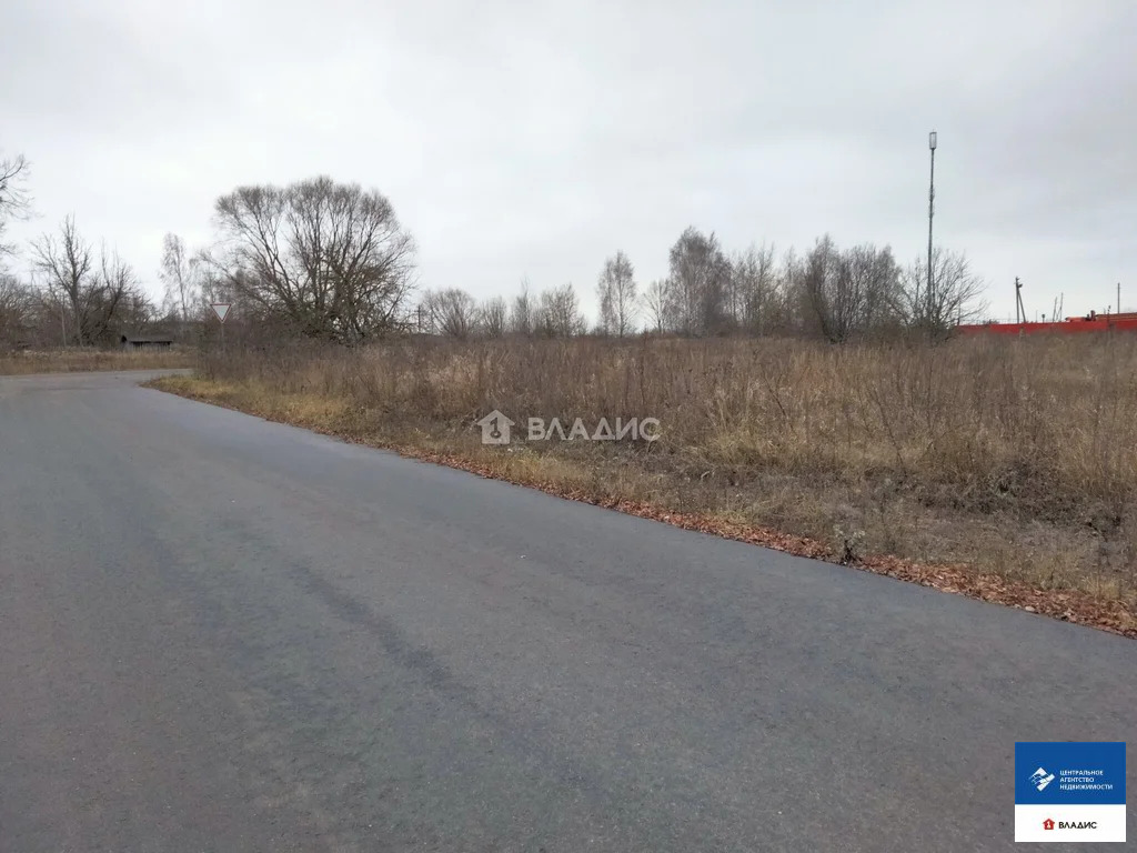 Продажа участка, Погост, Касимовский район, ул. Преображенская - Фото 10