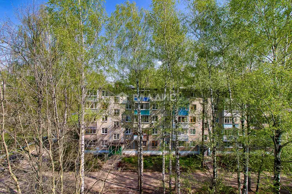 городской округ Владимир, улица Балакирева, д.37В, 2-комнатная ... - Фото 6