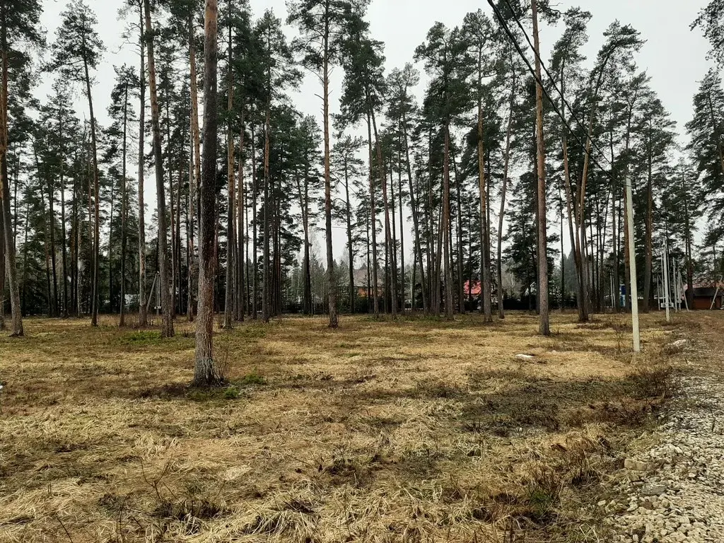 Продам участок ИЖС 13.74 сот. в с. Ивановское - Фото 7