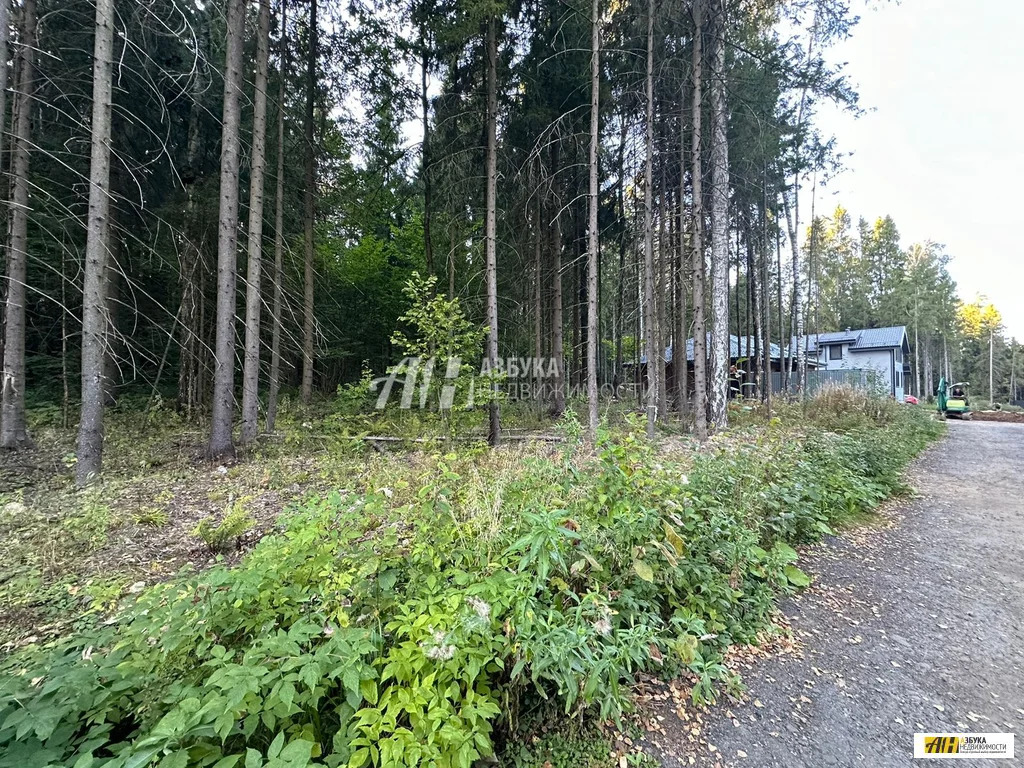 Продажа участка, Жилино, Богородский г. о. - Фото 12