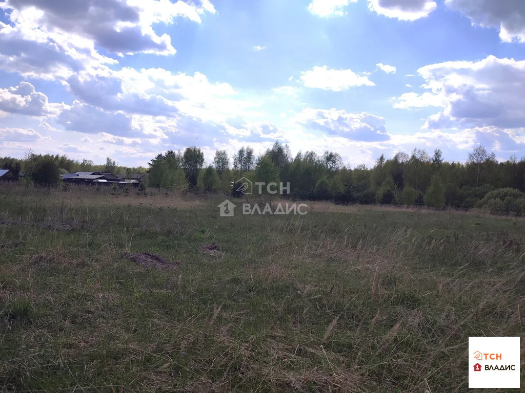 Продажа участка, Тимково, Богородский г. о. - Фото 2