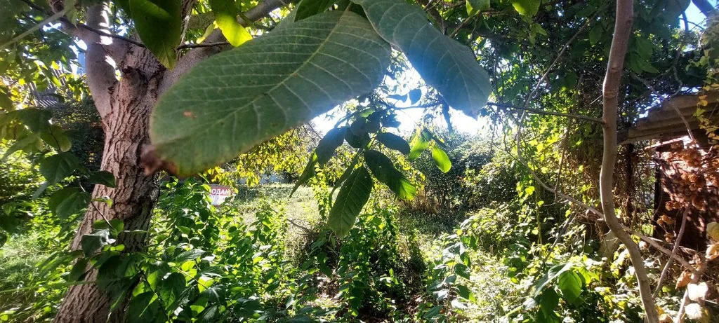 Продажа участка, Афипский, Северский район - Фото 3