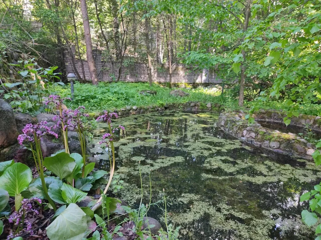 Продажа дома, Нагорное, Мытищинский район - Фото 13