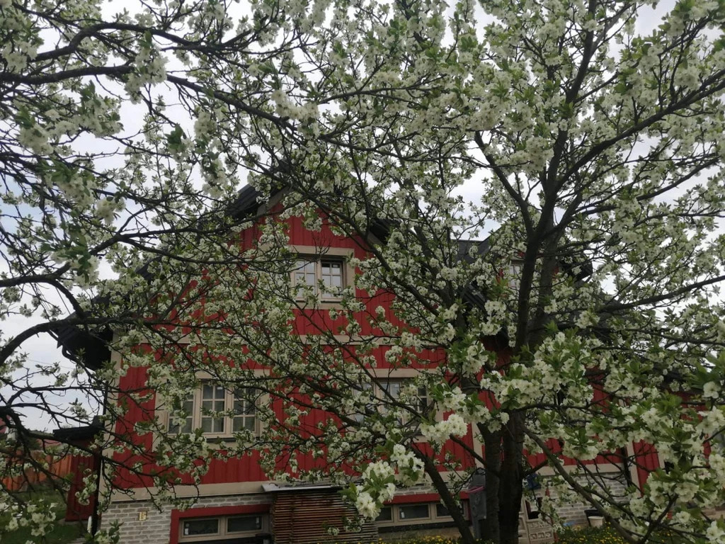 Продаю коттедж 375 м2 на участке 8 сот. - Фото 8