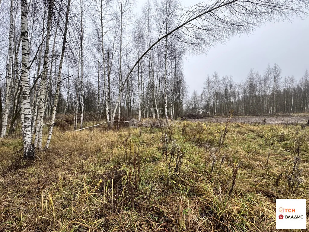 Продажа участка, Сергиев Посад, Сергиево-Посадский район, Суворицкая ... - Фото 5