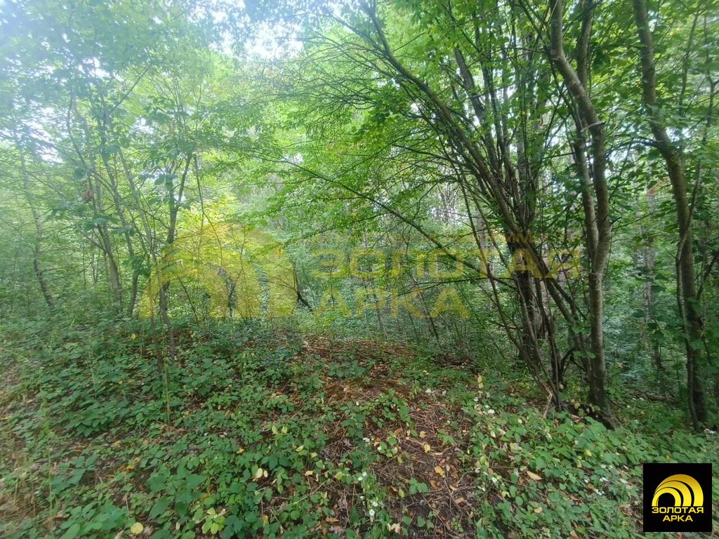 Продажа участка, Чибий, Северский район - Фото 19