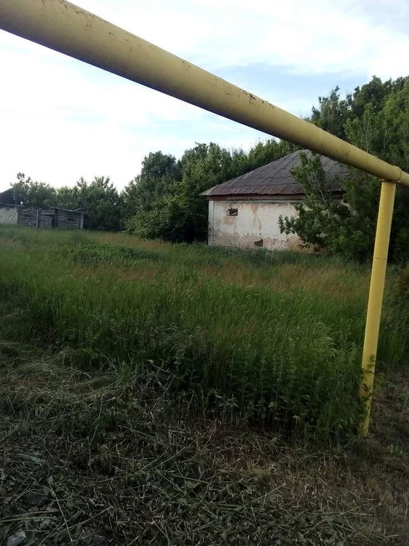 Боево каширский район воронежской области. С Боево Каширский район. Село Боево Каширский район Воронежской области. Сад Боево Каширский район. Степное Воронежская область Каширский район.