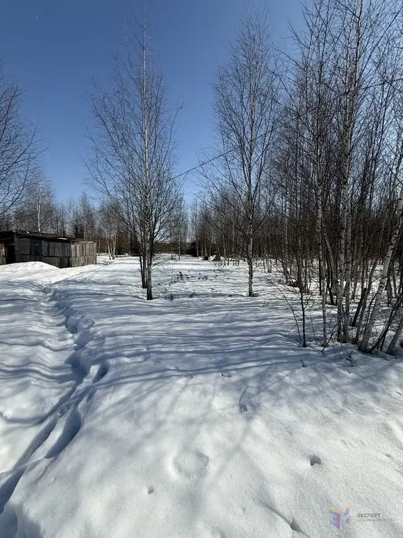 Продаю участок ясные зори - Фото 4