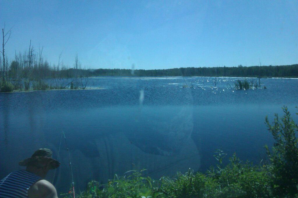 Ферма В Д Саньково Клинского Района Фото