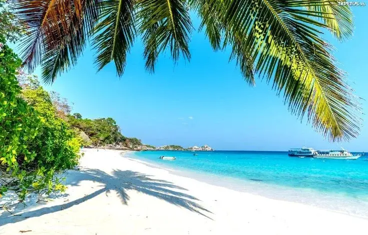 Готовы бизнес в Крыму - Фото 1