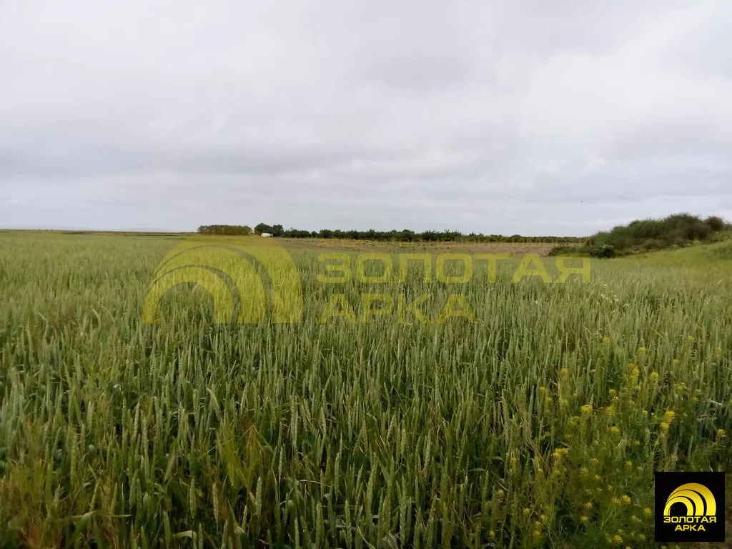 Продажа участка, Старотитаровская, Темрюкский район - Фото 3