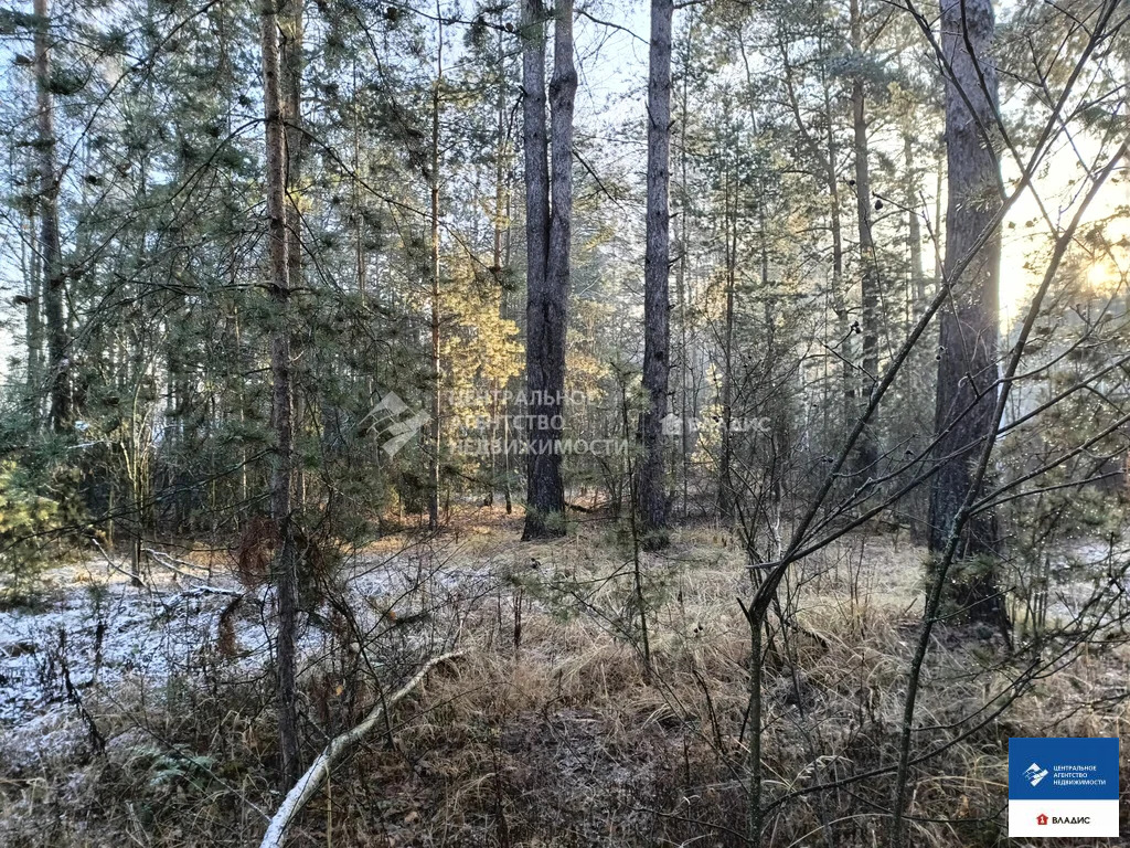 Продажа участка, Алеканово, Рязанский район - Фото 6