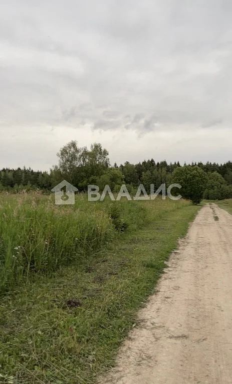 Наро-Фоминский городской округ, деревня Башкино, Просторная улица,  ... - Фото 11