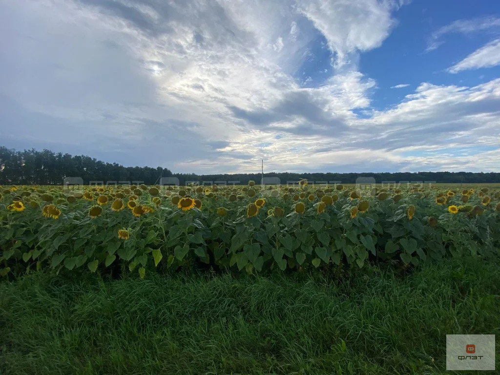 Продажа участка, Татарское Азелеево, Зеленодольский район, ул. ... - Фото 1