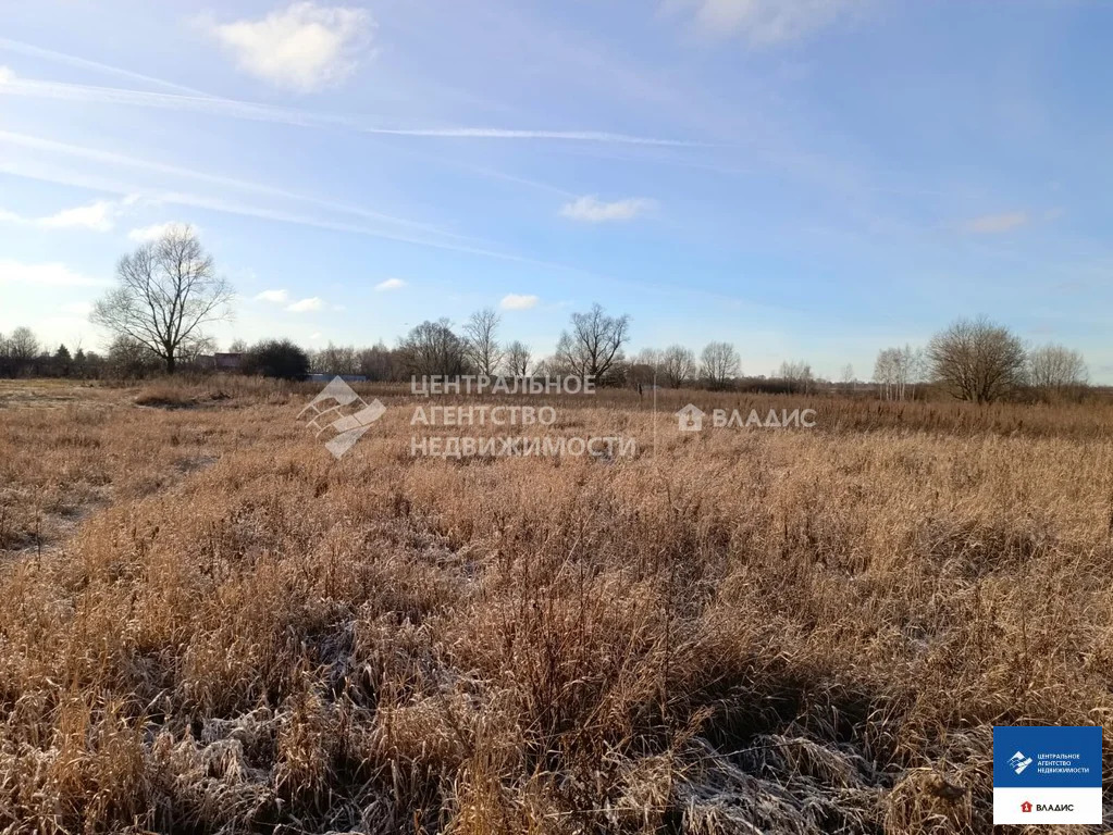 Продажа участка, Житово, Рыбновский район - Фото 2