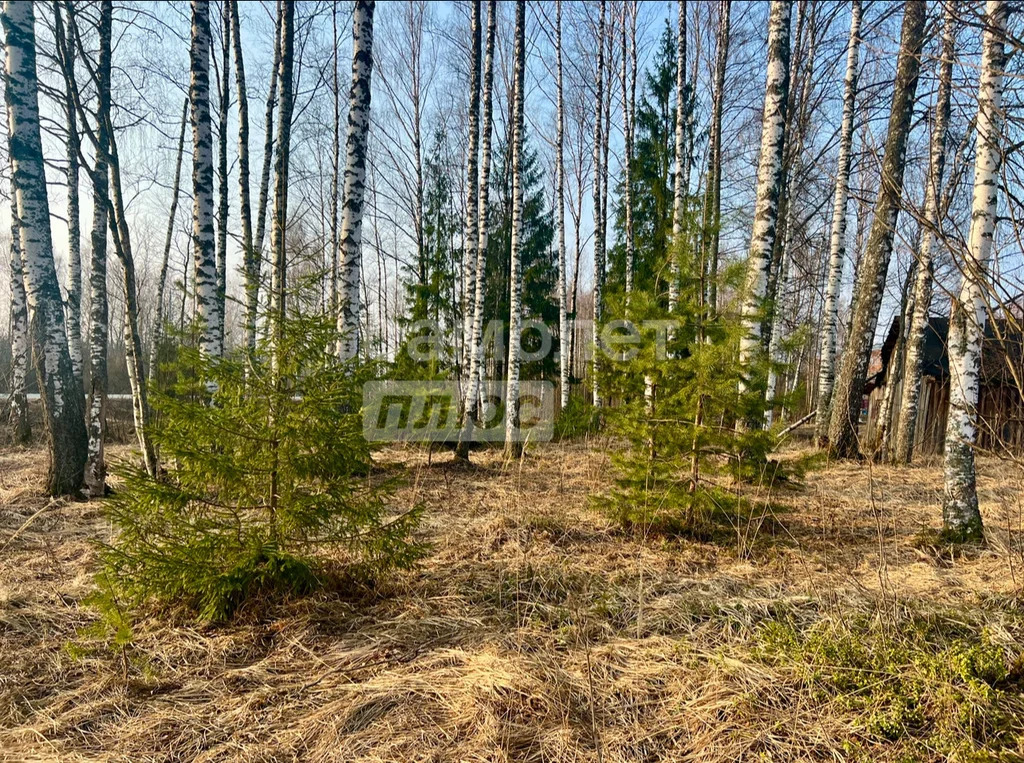 Продажа участка, Талдом, Талдомский район - Фото 11