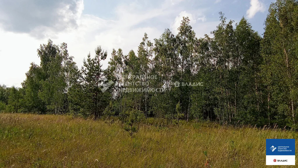 Продажа участка, Рязанский район, садоводческое товарищество ... - Фото 1