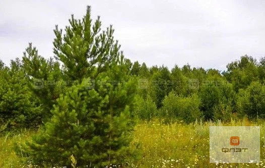 Продажа дома, Кзыл-Иль, Лаишевский район, ул. Юности - Фото 2
