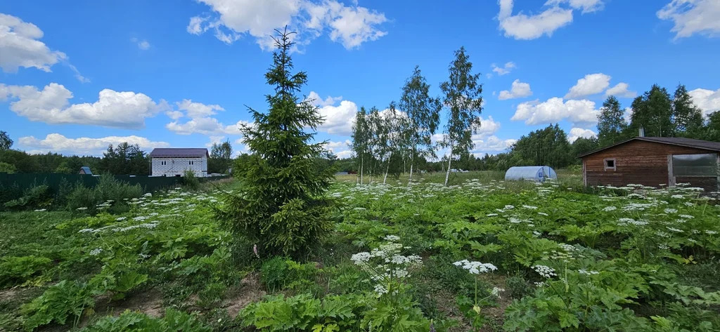 Продажа участка, Хомяки, Одинцовский район - Фото 0