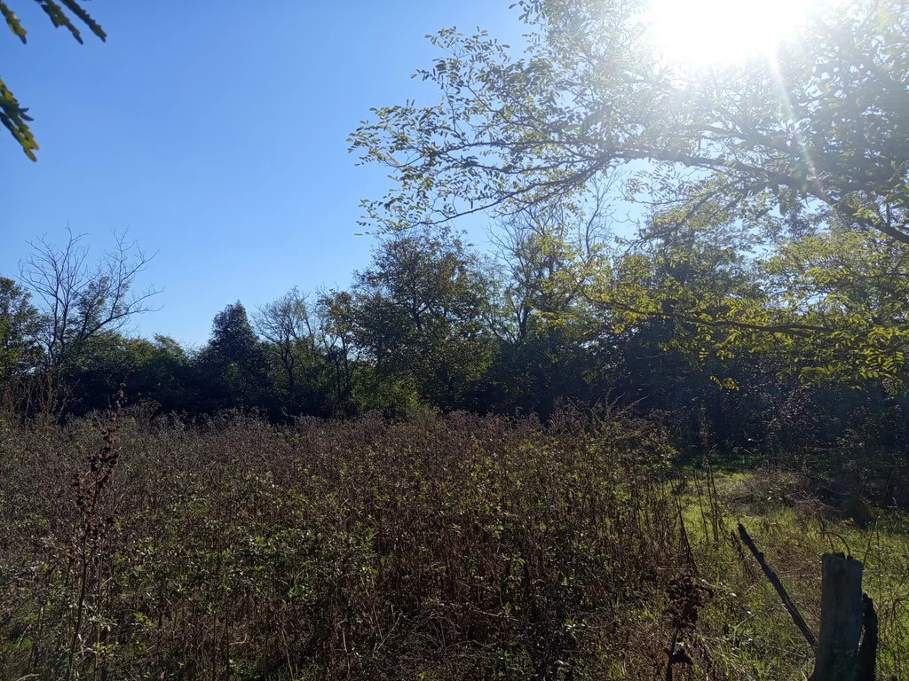 Продажа участка, Новомышастовская, Красноармейский район, ул. Толстого - Фото 5